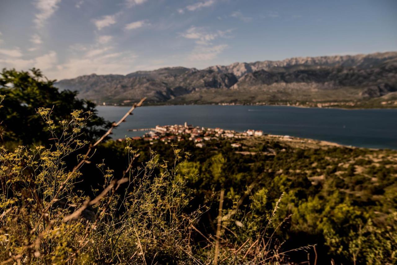 La Familia, Zadar, Vinjerac Villa Eksteriør bilde